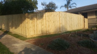 Treated Pine Paling Fence with Capping in Kilsyth
