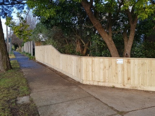 Treated Pine Paling Fence with Capping in Blackburn