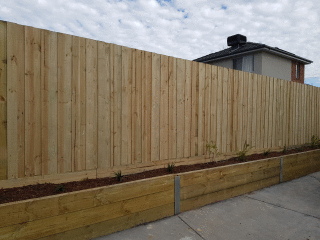 Treated Pine Paling Fence in Burwood