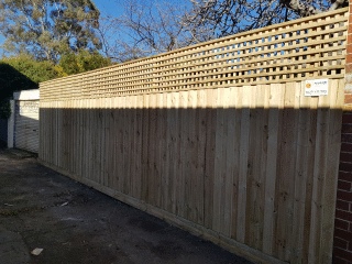 Treated Pine Paling Fence with Lattice in Northcote