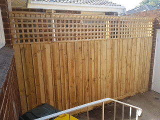 Treated Pine Paling Fence in Canterbury