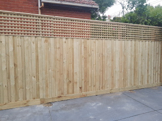 Treated Pine Paling Fence in Carnegie