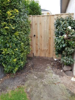 Single Gate with Palings in Malvern East